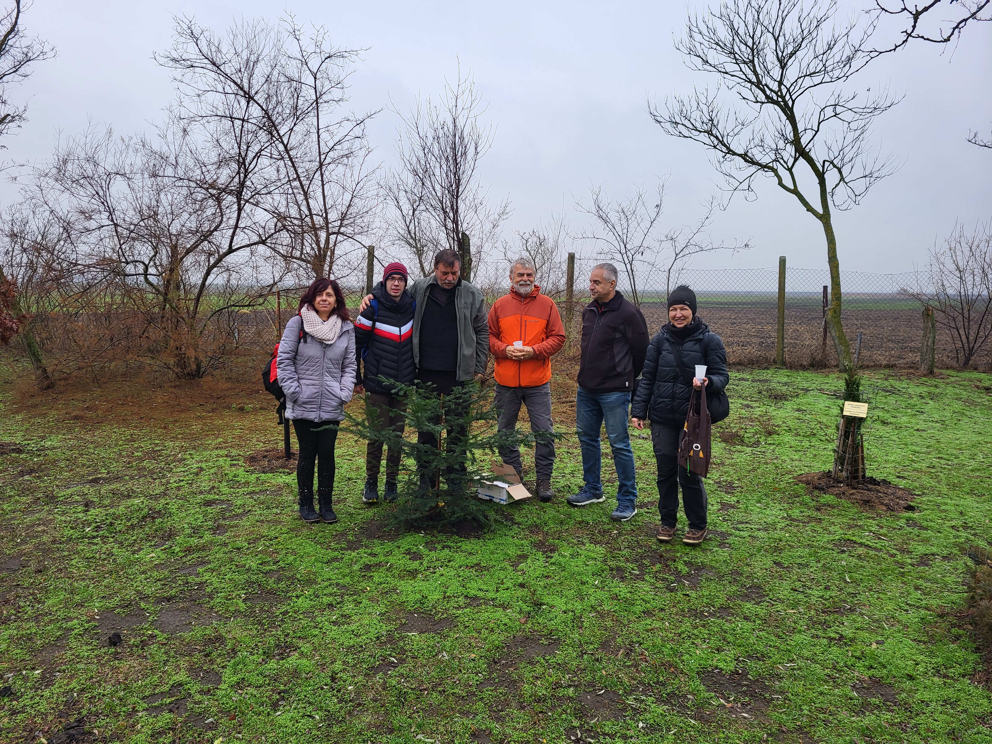 advent 2025 gabrielne vera 003