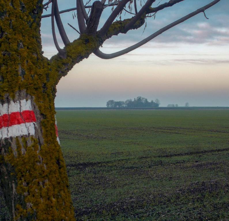 A mezőkopáncsi kápolna